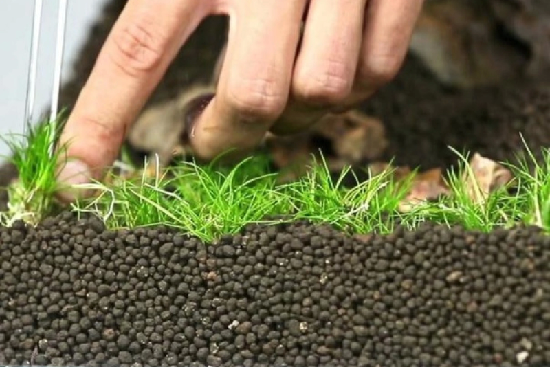 Аквариумный грунт