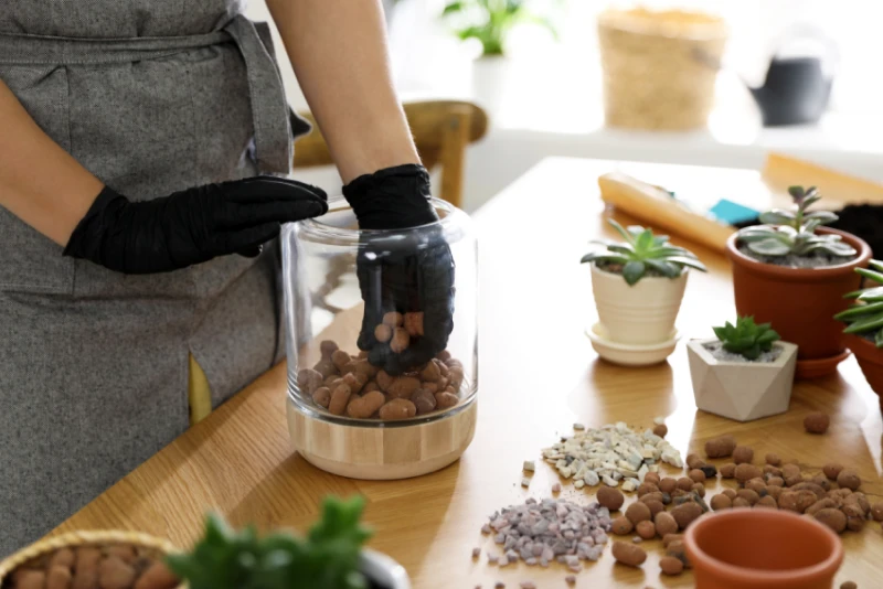 Дренаж для комнатных растений