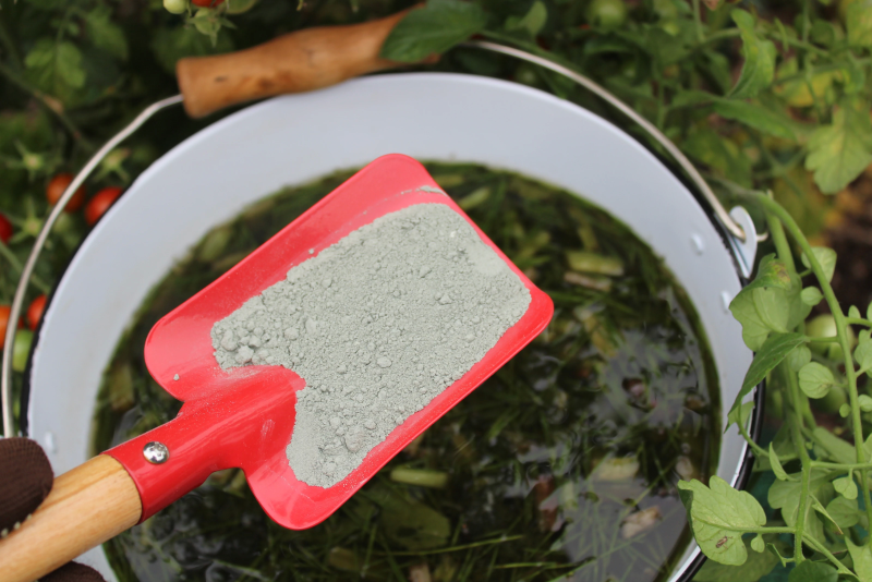 Витаминная подкормка для рассады