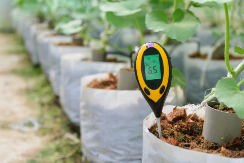 Кислотность почвы и раскисление