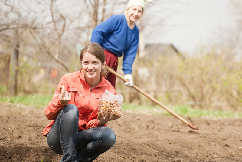 Апрельский чек-лист садовода 2025