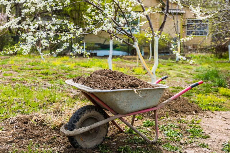 Как выбрать удобрения для сада в мае