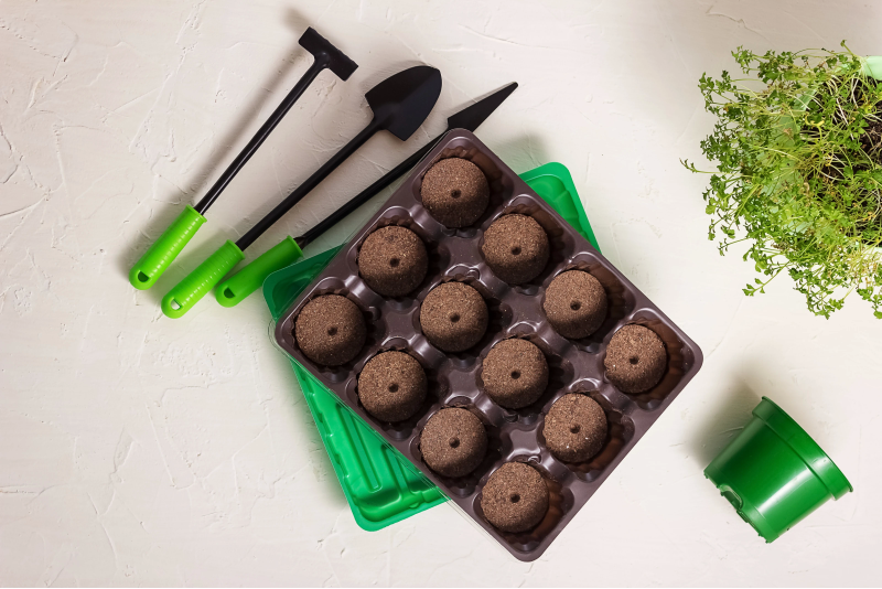 Рассада в торфотаблетках