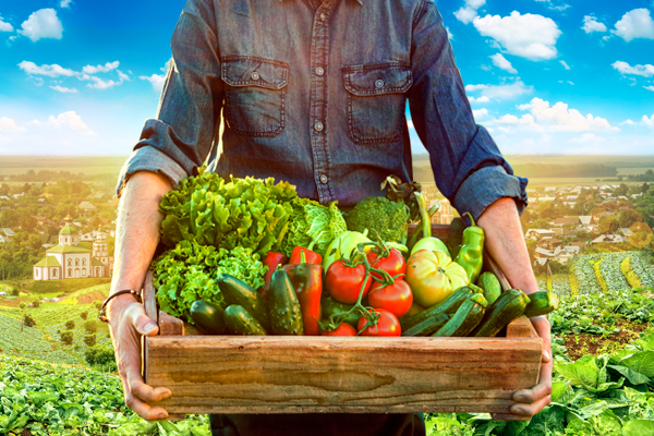 Предлагаем вам несколько наших самых топовых грунтов для будущего урожая.