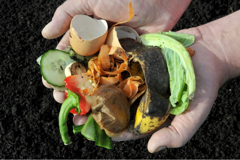 Как создать эффективный компост