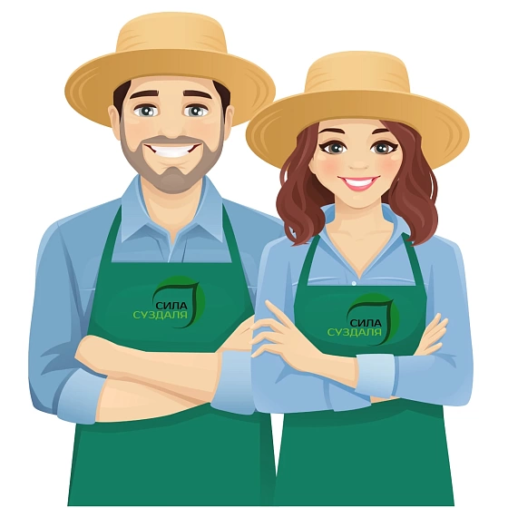 Наша команда