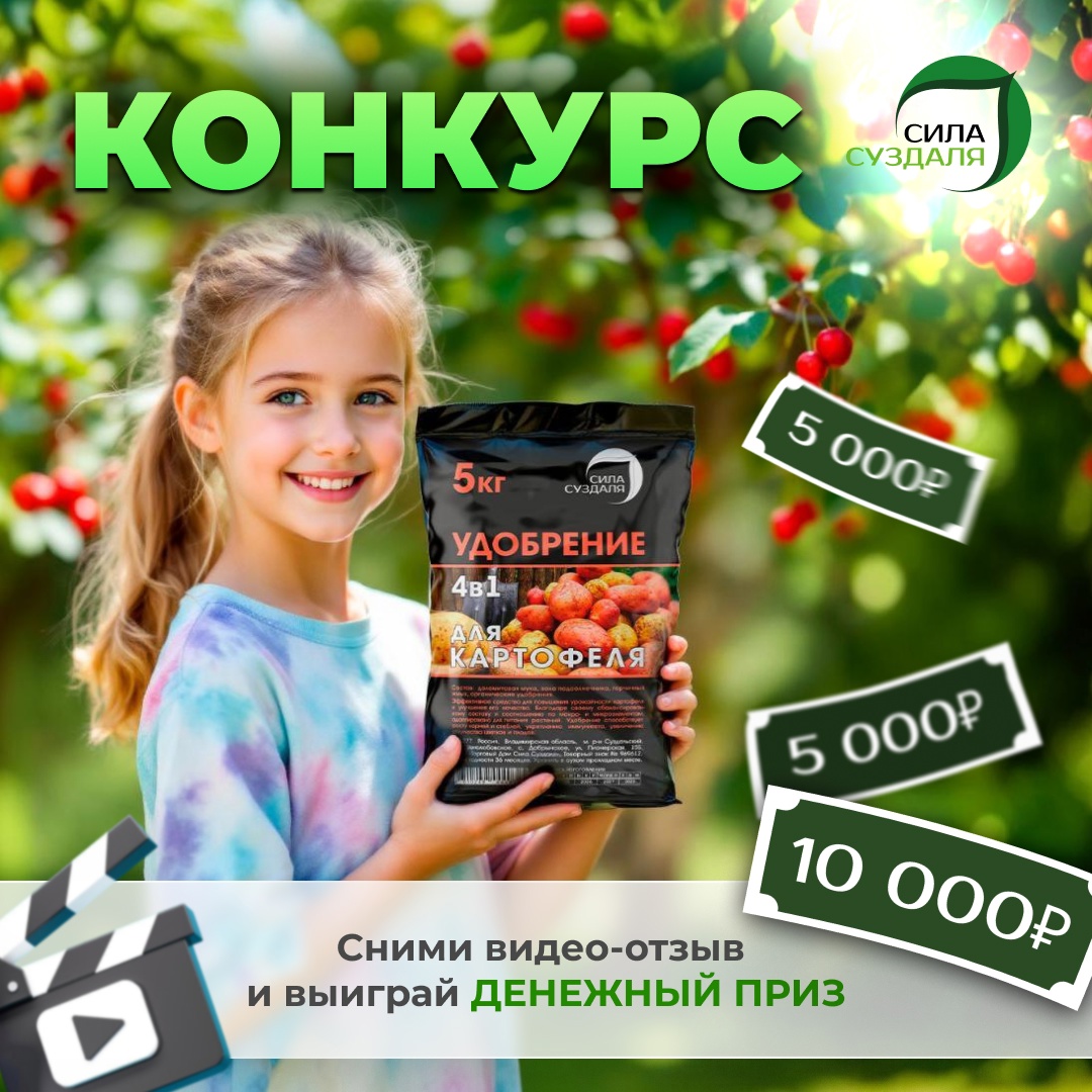 Разыгрываем 10 000 рублей в новом семейном конкурсе! Разыгрываем 10 000 рублей в новом семейном конкурсе!